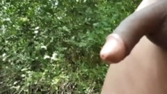 exhibitionist video: naked walk in woods got caught be old guy