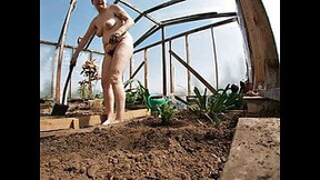 funny video: Naked Greenhouse Worker Planting Cacti
