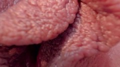 extreme video: Close-up pussy with extremely detail