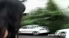korean video: koreans fucking at the gas