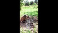 mud video: Warm Summer Mud
