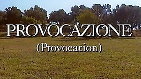 celebrity video: Provocation (1995)