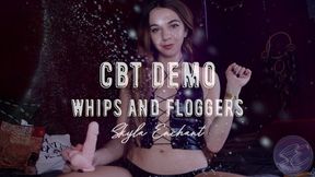 flogger whip video: CBT Demo - Whips and Floggers