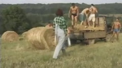 farm video: One Woman, 10 Cocks