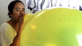 balloon video: Stella Blows To Pop Your Huge 24 Inch Tuftex Balloon