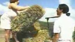 farm video: Harvesting the Farmers Big Daughter by snahbrandy