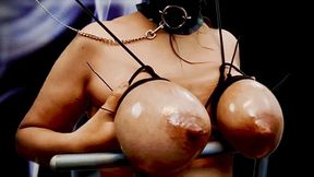 whip video: 4k Huge Hucow Udders Tied and Whipped with a stick