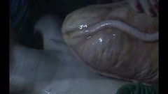 crazy asian video: Girl Cum Covered in Monster's Maw!