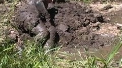 mud video: Fit2Race wetsuit in mud, June 2017, Part 2 of 2