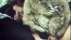 fur video: Vintage Coyote Fur Blowjob