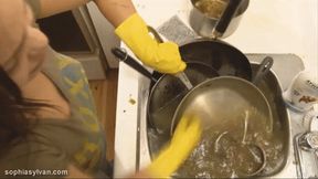 gloves video: Punished by Dishwashing 480p wmv